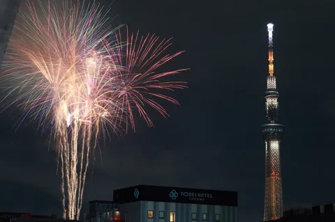 花火とタワー、光の競演