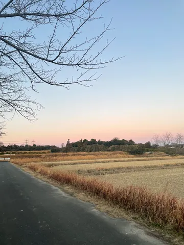 晩秋の農道、色づく空
