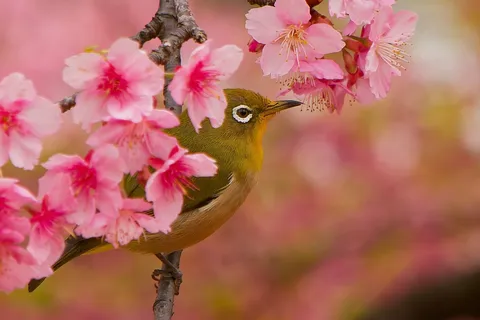 春の息吹、一服の詩