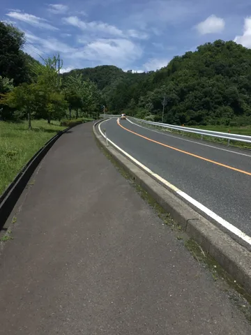 緑に包まれ、カーブを往く道