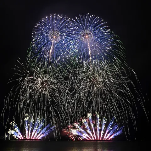 夜空を彩る大輪の花