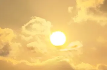 太陽が本気を出しすぎた日