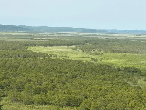 広がる緑の静寂と水平線