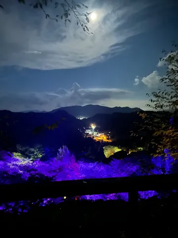 月夜に輝く幻想の谷