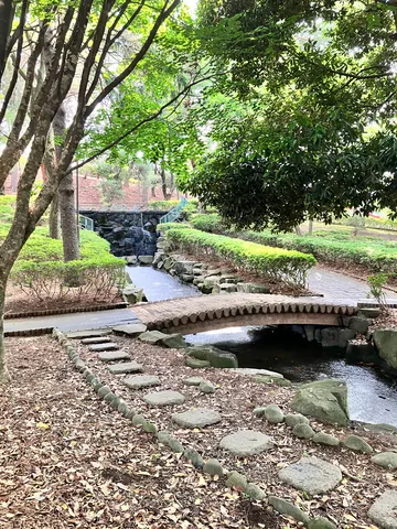 水際の小径と緑の影