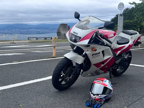 相棒と見下ろす街のパノラマ