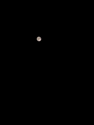 闇夜に浮かぶ月