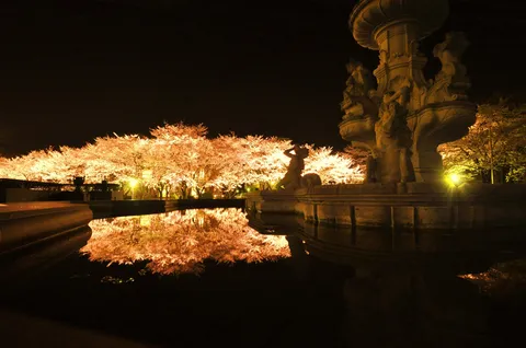 夜桜と水面に映る光のカーテン