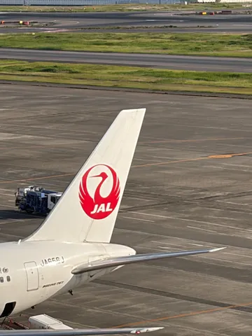 空への憧れ、JALの尾翼