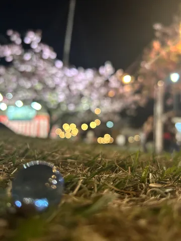 夜の芝生に光る玉