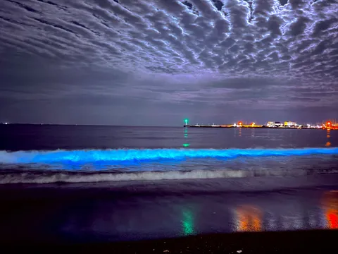 夜光る海と街の灯り