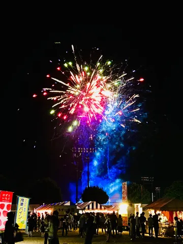 祭りの夜、輝く大輪の花