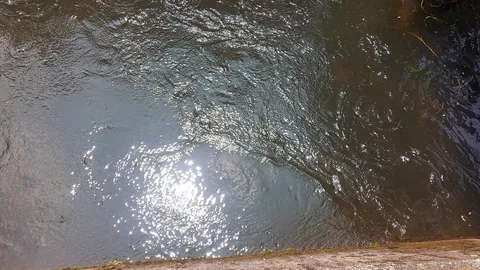 水面のきらめき、静かな流れ