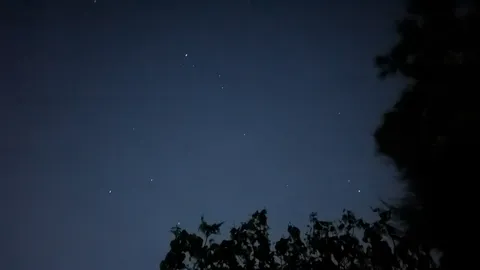 星降る夜空と木々のシルエット