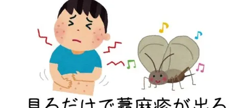 音楽に弱い体