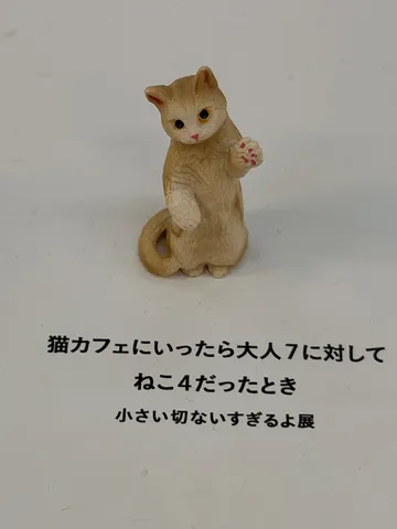 猫カフェ、大人7人ねこ4