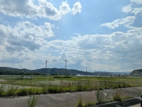 空と田んぼのコントラスト