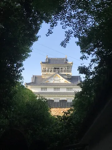 緑のトンネルの向こうのお城