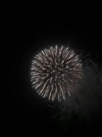 夜空を彩る、光の花束