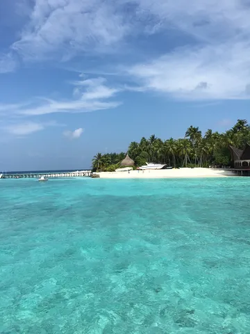 美海