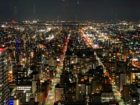 煌めく都市の灯り、無限に広がる夜景