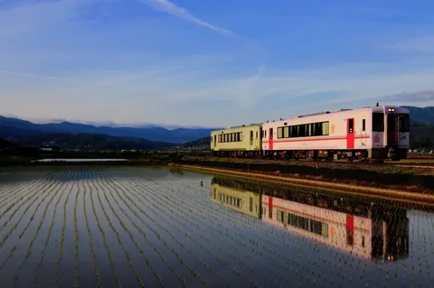 水鏡に映る、緑と白の列車