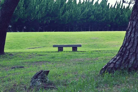 木漏れ日と静寂のベンチ