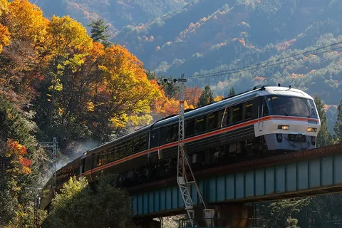 紅葉のステージ、主役登場！