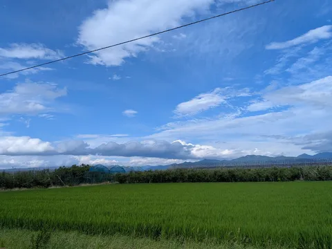 青空と緑のコントラスト