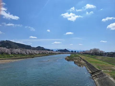 川沿いの桜並木と青空