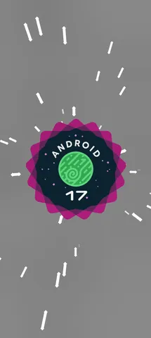 中心に集まるAndroid 17