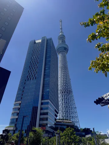 青空にそびえる近代建築とタワー