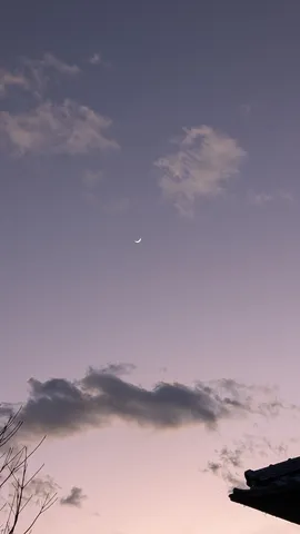 薄明の月と雲の余韻