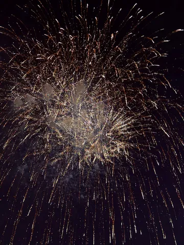 夜空に開く光の花火