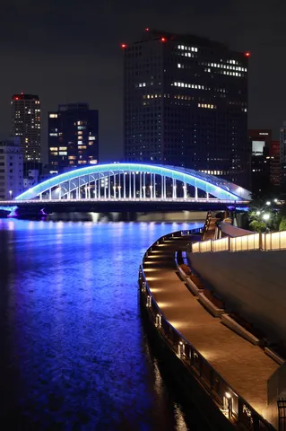 光を渡る夜の水辺