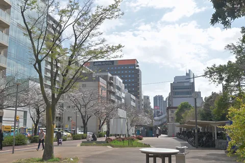 都会に芽吹く春の息吹