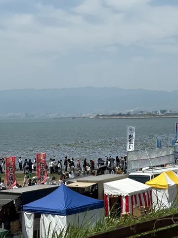 海辺の賑わい、広がる青い絨毯