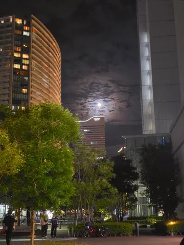 月明かりと都会の夜景