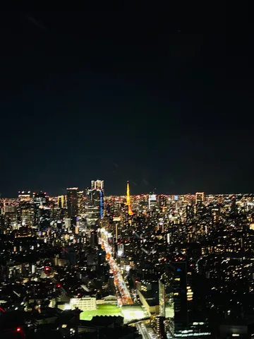 夜景にそびえる光の塔