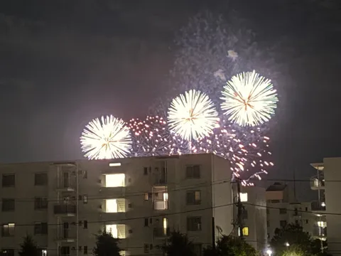 マンションを彩る光の花