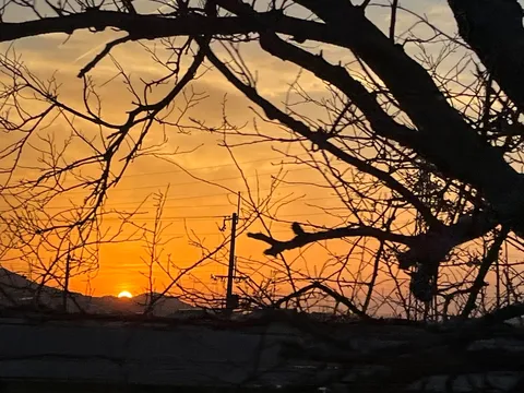 シルエットに滲む夕焼け空