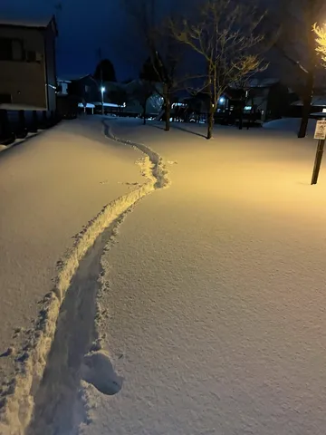雪夜の足跡、静かな物語