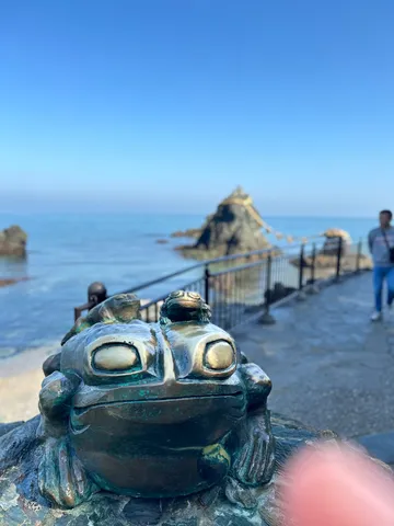 カエルが守る静かな海辺