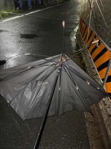 雨上がりの夜道に佇む黒い傘