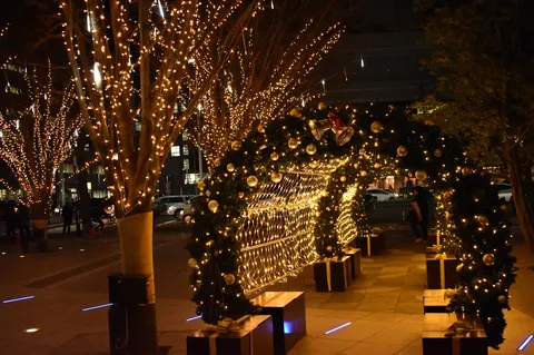 光の回廊に包まれて
