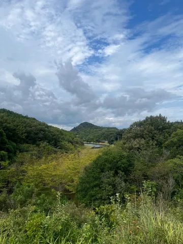 森の奥に潜む水鏡