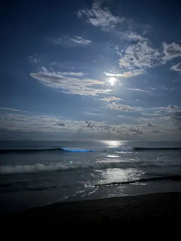 月夜の海に光る奇跡