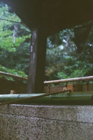 緑が静かに染み込む縁の景