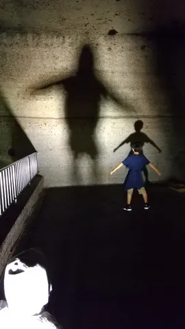 壁に映る謎の影とこども