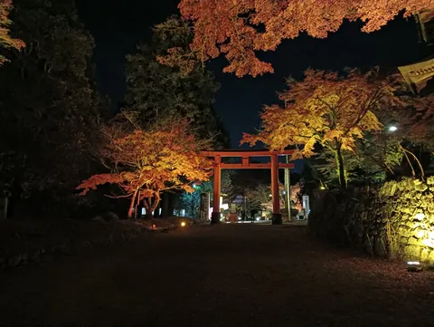 夜の鳥居と紅葉の路
